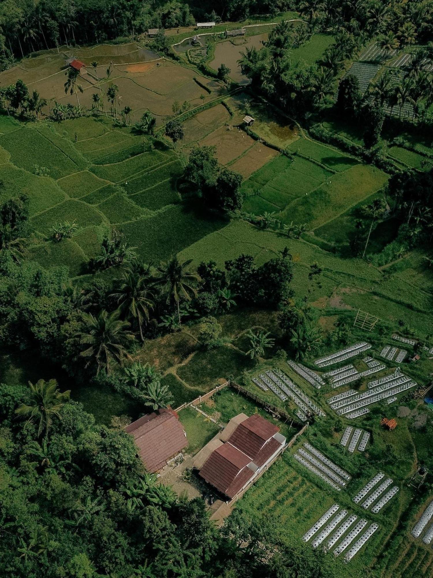 Hotel Alora House Lombok Tete Batu Tetebatu Exterior foto